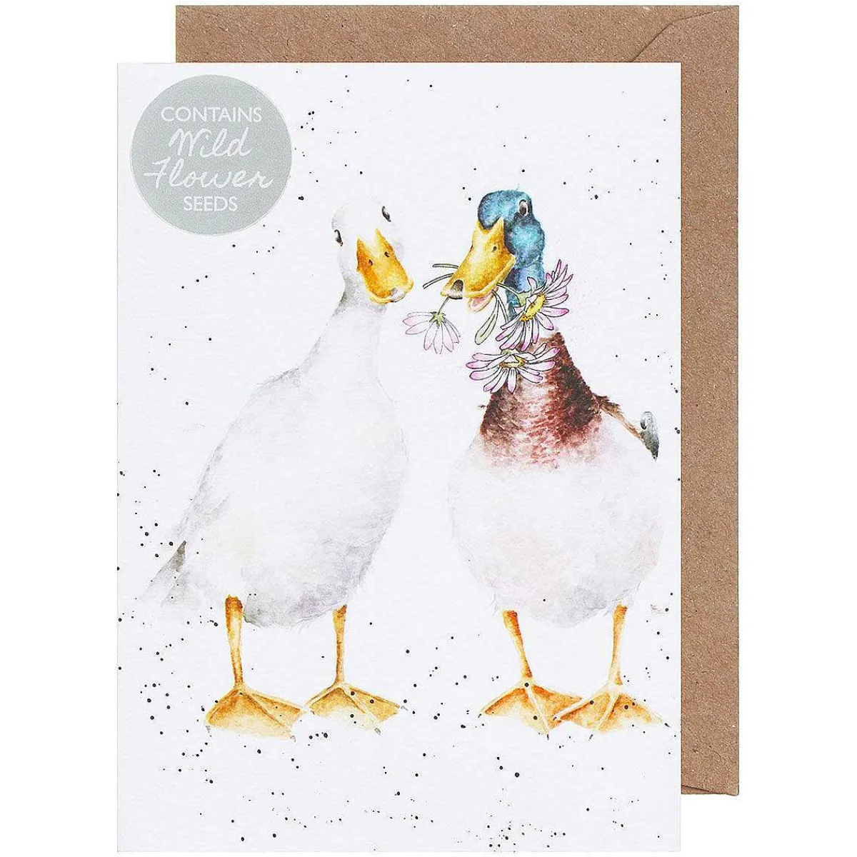 'Not A Daisy Goes By' Duck Seed Card>Wrendale Store