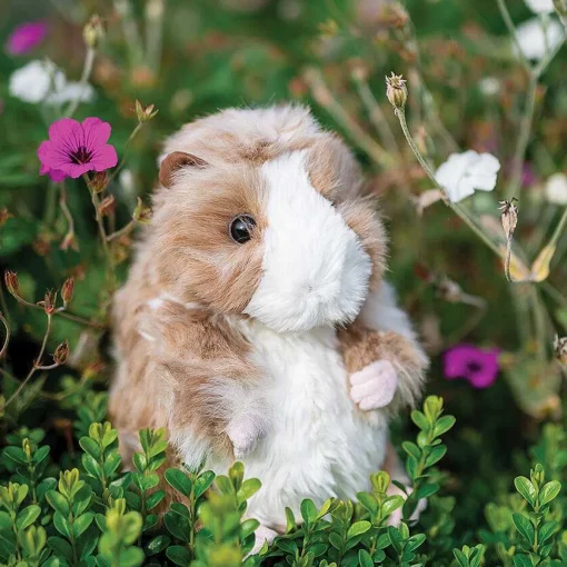 Plush Daphne Guinea Pig>Wrendale Best