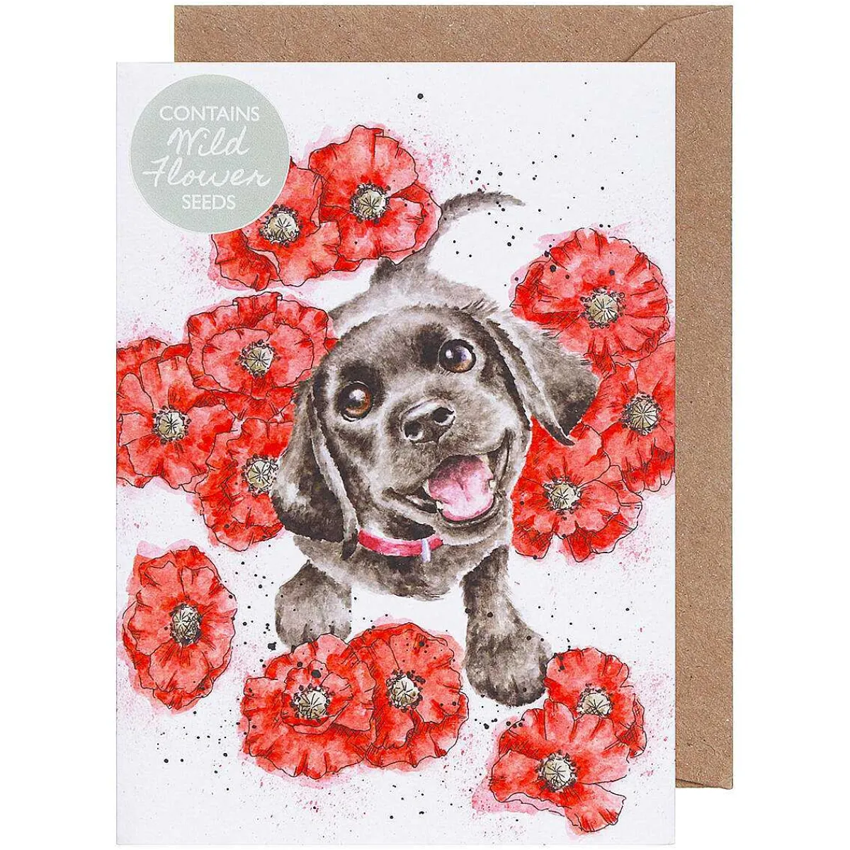 'Poppy Love' Dog Seed Card>Wrendale Outlet