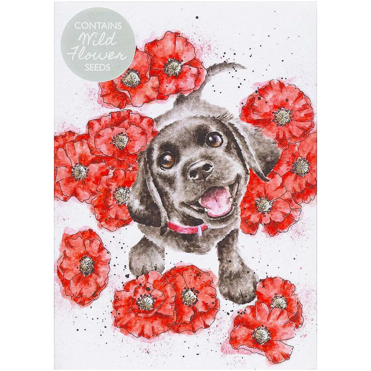 'Poppy Love' Dog Seed Card>Wrendale Outlet