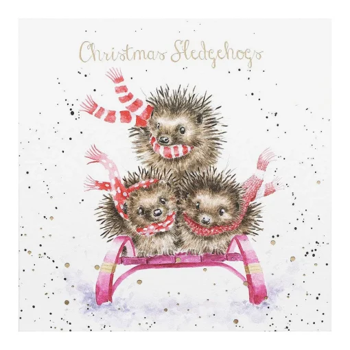 'sledgehogs' Set Of 8 Luxury Gold Foiled Christmas Cards>Wrendale Best Sale