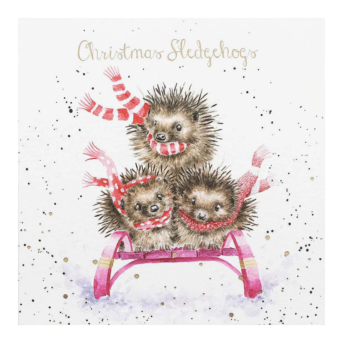 'sledgehogs' Set Of 8 Luxury Gold Foiled Christmas Cards>Wrendale Best Sale