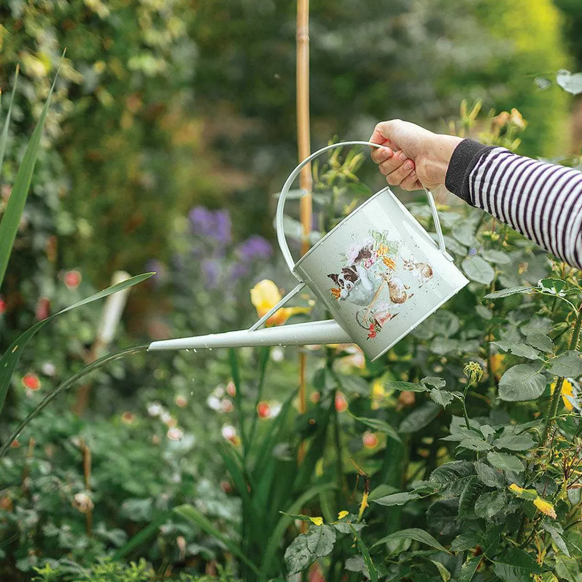 'sleeping On The Job' Dog & Rabbits Watering Can>Wrendale Clearance