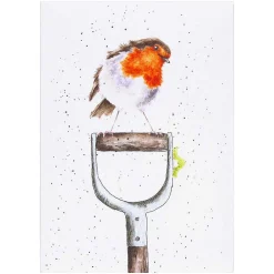 'The Gardener's Friend' Robin Seed Card>Wrendale Best Sale