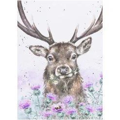 'Thistle Make You Smile' Stag Seed Card>Wrendale Sale