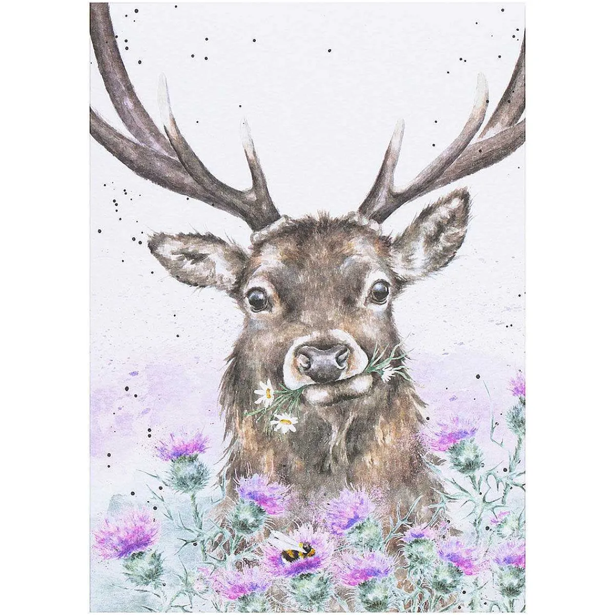 'Thistle Make You Smile' Stag Seed Card>Wrendale Sale