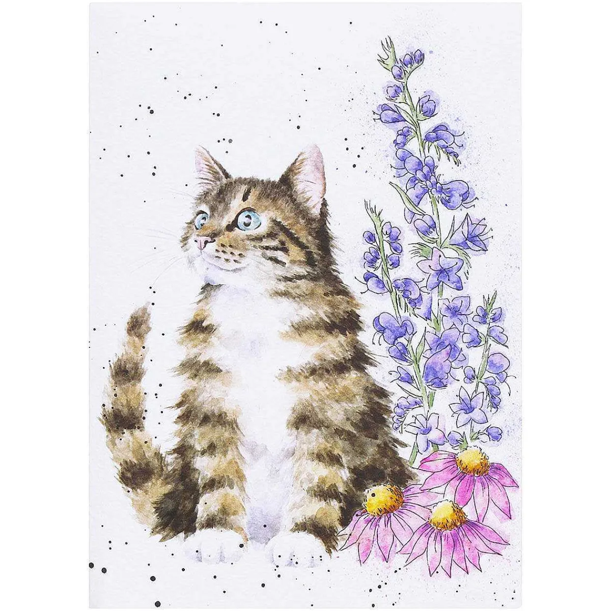 'Whiskers And Wild Flowers' Cat Seed Card>Wrendale Best