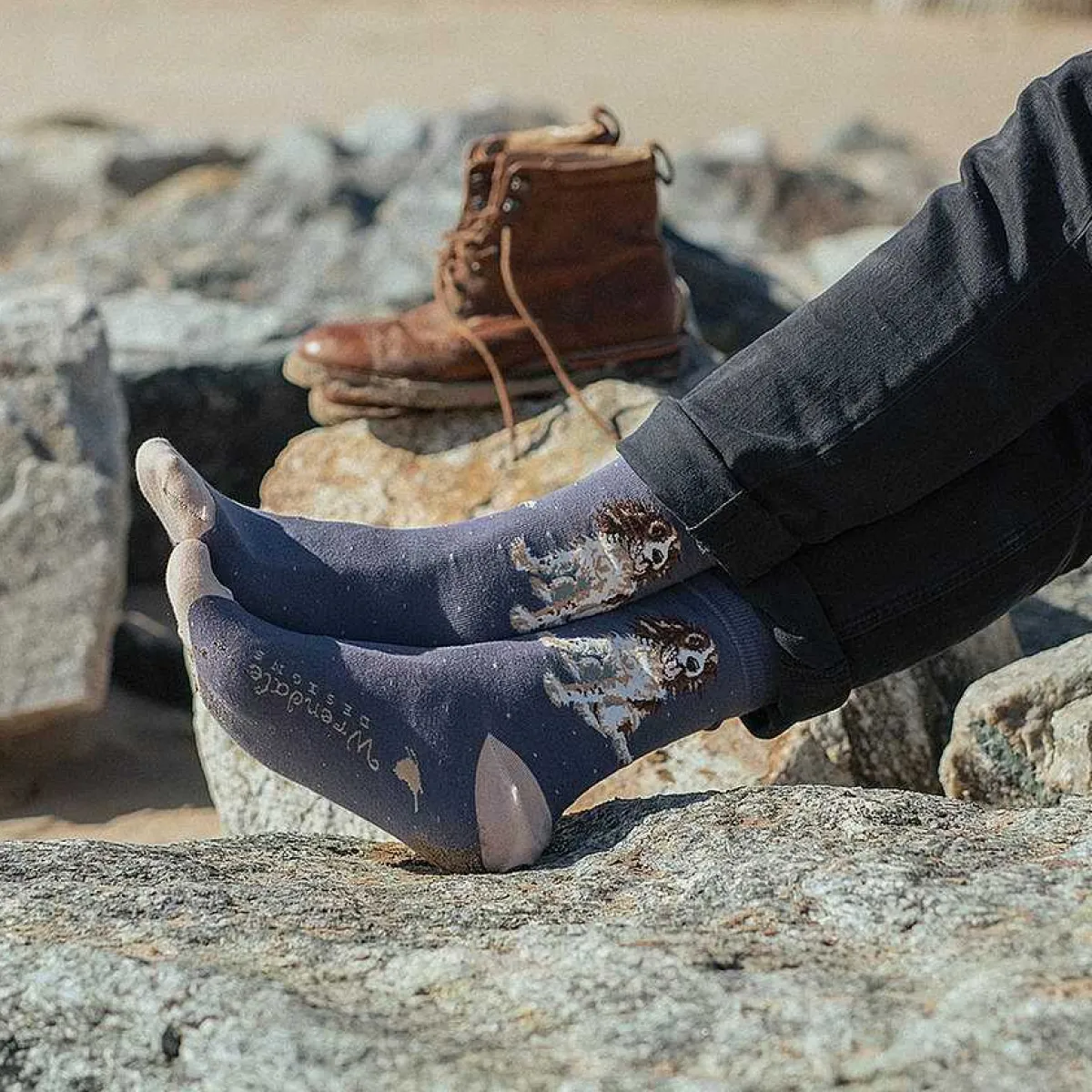 Willow Spaniel Men's Bamboo Socks>Wrendale Shop