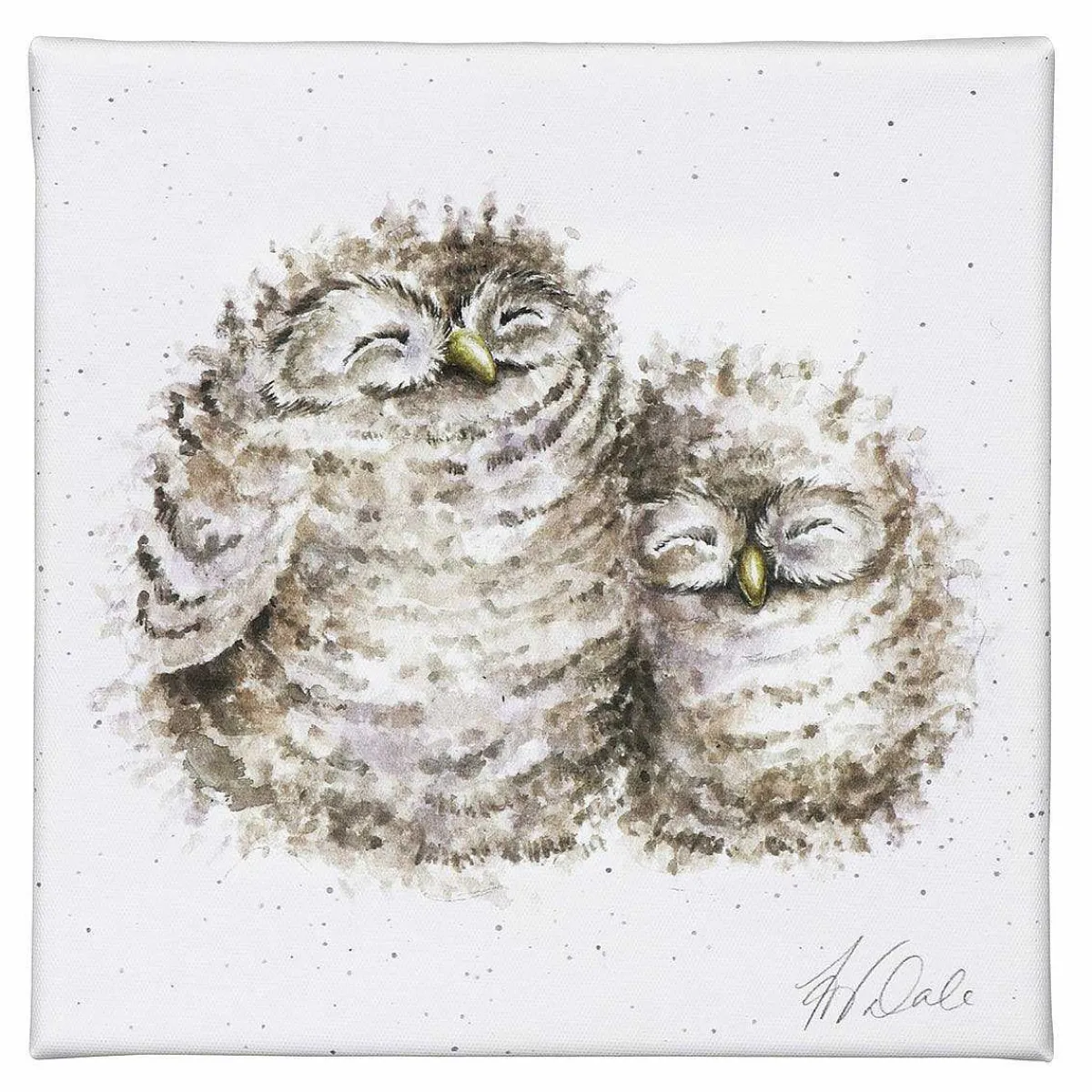 'Words Of Wisdom' Owl Small Canvas>Wrendale Clearance