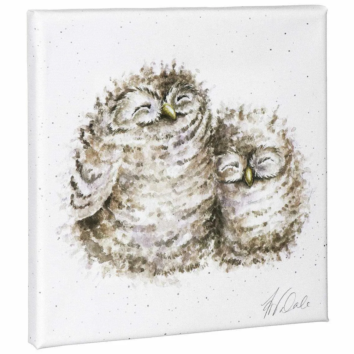 'Words Of Wisdom' Owl Small Canvas>Wrendale Clearance