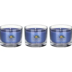 Black Tea & Lemon Set Of Three Signature Filled Votives><noscript><img width=