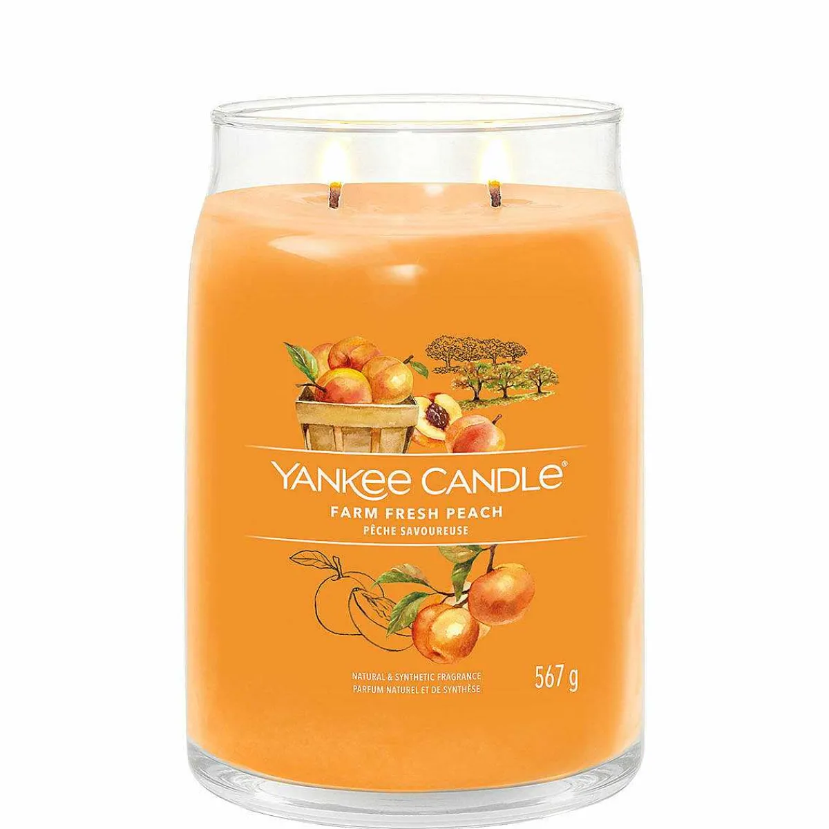 Farm Fresh Peach Signature Large Jar Candle>Yankee Candle Best