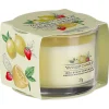 Iced Berry Lemonade Single Signature Filled Votive>Yankee Candle Hot