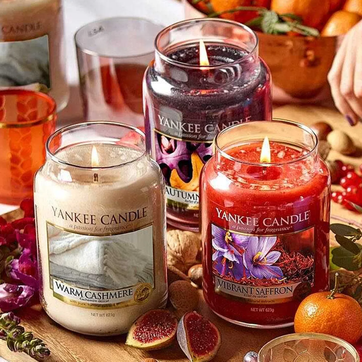 Warm Cashmere Small Jar Candle>Yankee Candle Fashion